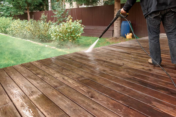 Best Sidewalk and Walkway Cleaning  in Sheridan, IL