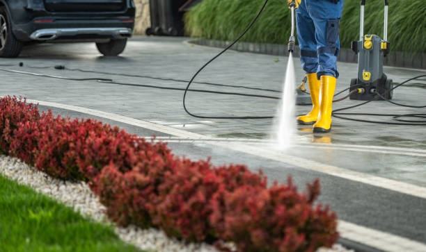 Best Graffiti Removal  in Sheridan, IL